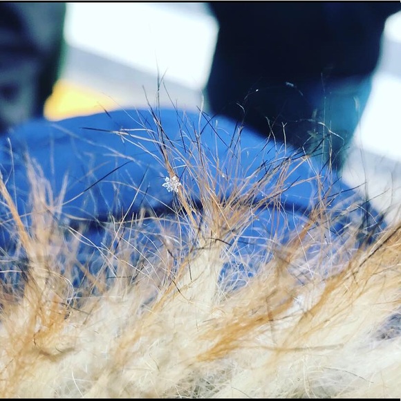 Meet your Posher, Jennifer - Picture 1 of 1